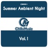 Summer Ambient Night, Vol. 1