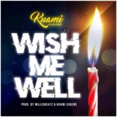 Wish Me Well by Kuami Eugene
