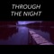 Through the Night (feat. Gary Larason) artwork