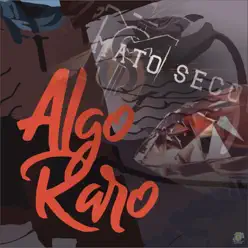 Algo Raro - Single - Mato Seco