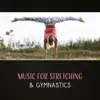 Music for Stretching & Gymnastics – Daily Fitness Workout, Yoga Training, Pilates Background Music, Wellness Therapy, Wellbeing album lyrics, reviews, download