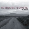 Hothouse Flowers