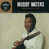 Muddy Waters - All Aboard
