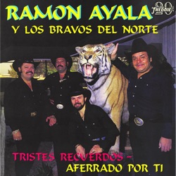 Ramón Ayala y Sus Bravos del Norte - La Miedosa