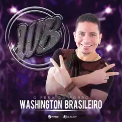 Vai Dar ou Não Dar Amor - Single - Washington Brasileiro Vai Dar ou Não Dar Amor - Single - Washington Brasileiro