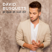 El Que Et Vull Dir - David Busquets