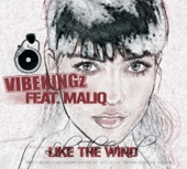 Like the Wind - EP artwork