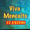 bajar descargar mp3 Meneaito - Gaby