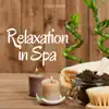 Relaxation in Spa: Stress Relief, Wellness Lounge, Reiki, The Best Meditation Music, Massage Room, Relax at Home album lyrics, reviews, download