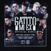 El Gatito de Mi Ex (feat. Gigolo & La Exce, Darkiel, Pusho, Juhn & Pacho) [Remix] artwork