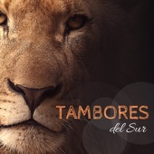 Tambores del Sur artwork