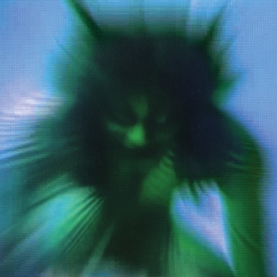 Cover artwork for Recognizing the Enemy
