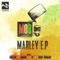 Marley (Kaishi Remix) - Mob lyrics