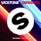 Lowdown - Vicetone lyrics