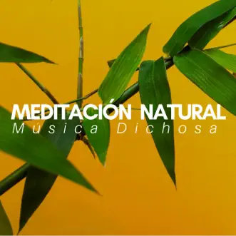 Meditación Natural - Música Dichosa para Lleno de Calma, Hipnosis Mente, Practica tu Zen, Relajación Positiva con Buda by Espiritual Ilustración album reviews, ratings, credits