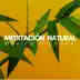 Meditación Natural - Música Dichosa para Lleno de Calma, Hipnosis Mente, Practica tu Zen, Relajación Positiva con Buda album cover