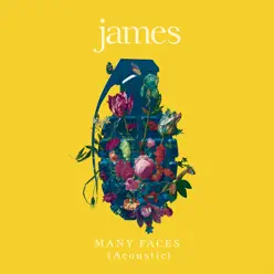 Many Faces (Acoustic) - Single - James