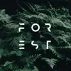 Forest Sounds - EP album lyrics, reviews, download