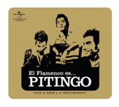 El Flamenco Es... Pitingo artwork