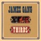 Things I Could Be - James Gang lyrics