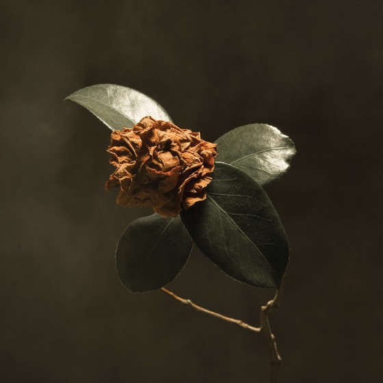 Cover artwork for LivWithoutU