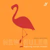 New Rules (feat. Hannah Waddell) [Piano Acoustic] - Single album lyrics, reviews, download