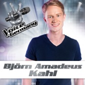 Einmal sehen wir uns wieder (From The Voice of Germany) artwork