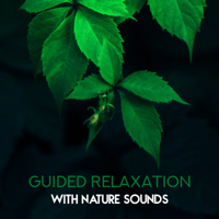 Relaxing Nature Sounds Collection - Guided Relaxation with Nature Sounds: Amazing Sounds of Rain, Birds, Woodland & Ocean, Soothing Music for Mind, Body & Soul, Feeling Peace & Serenity artwork