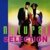 Natural Selection - Do Anything (Justin Strauss Remix)