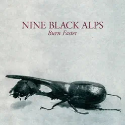 Burn Faster (Acoustic) - Single - Nine Black Alps