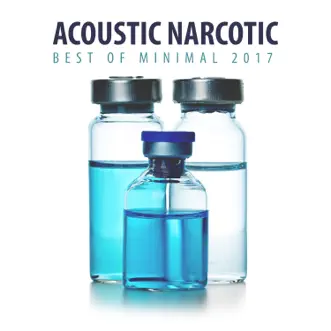 Acoustic Narcotic: Best of Minimal 2017 by Various Artists album reviews, ratings, credits