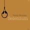 Selenium - Terry Numan lyrics