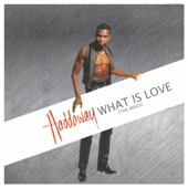 What Is Love (The Mixes) artwork