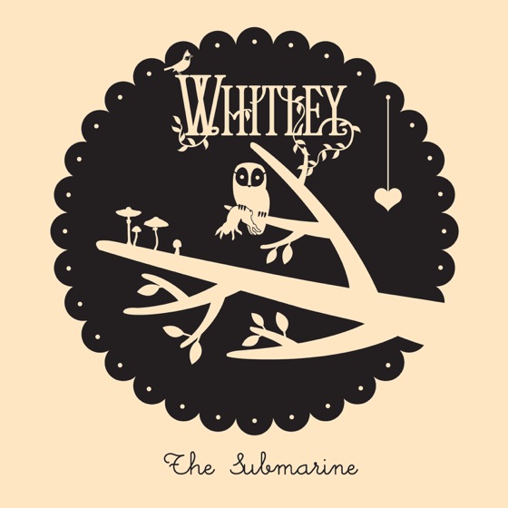 Cover artwork for The Submarine