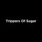 My Iron Lung - Trippers Of Sugar lyrics