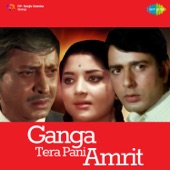 Ganga Tera Pani Amrit artwork