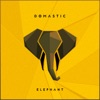 Elephant - Single