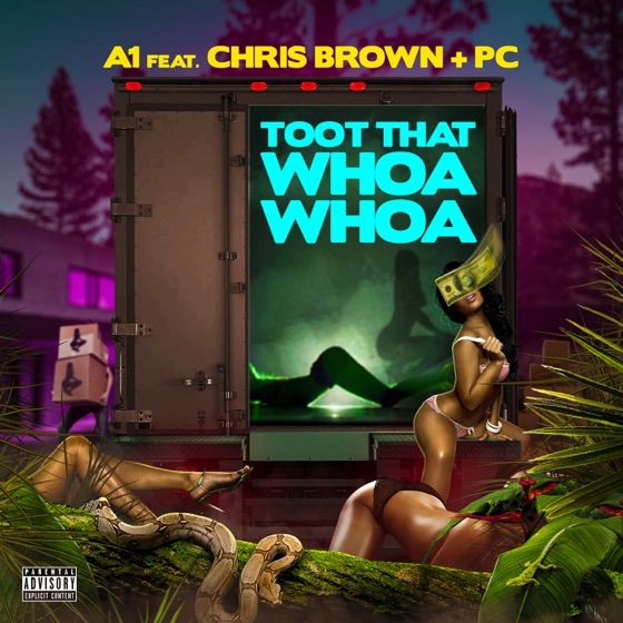 Cover artwork for Toot That Whoa Whoa (feat. Chris Brown & PC)