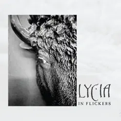 In Flickers - Lycia In Flickers - Lycia