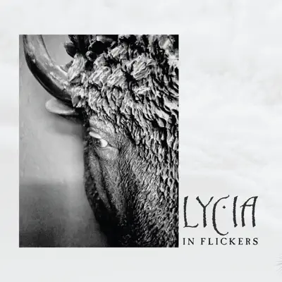 In Flickers - Lycia