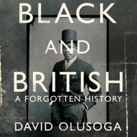 David Olusoga - Black and British artwork