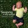 Sleeping in the Woods: 50 Nature’s Lullabies for Newborn, Healing Sounds for Baby Trouble Sleeping album lyrics, reviews, download