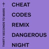 Dangerous Night (Cheat Codes Remix) - Single, 2018