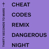 Dangerous Night (Cheat Codes Remix) artwork
