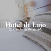 Hotel de Lujo - 20 Canciones Relajantes Exclusivas para ti en Streaming artwork