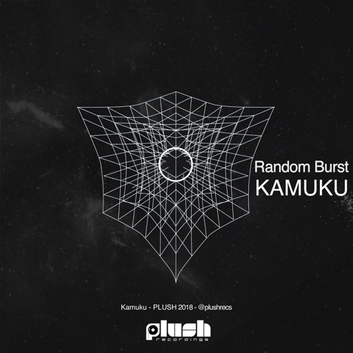 I Will / Random Burst - Single by Kamuku