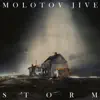 STORM album lyrics, reviews, download