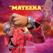 Mateeka artwork