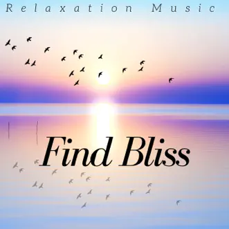 Find Bliss: Relaxation Music, Meditation, Yoga, Concentration, Massage Music by Pure Massage Music album reviews, ratings, credits