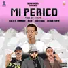 Mi Perico (Remix) song lyrics